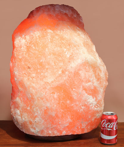 Indusclassic Small & Giants Natural Himalayan Crystal Rock Salt Lamp Air Purier