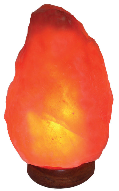 Indusclassic Small & Giants Natural Himalayan Crystal Rock Salt Lamp Air Purier